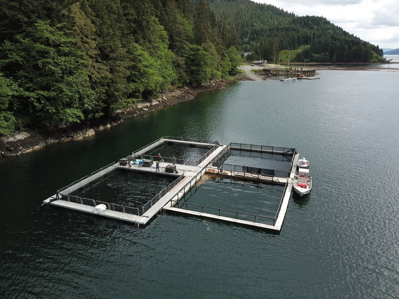 Carroll Inlet Net Pens - Swan Lake